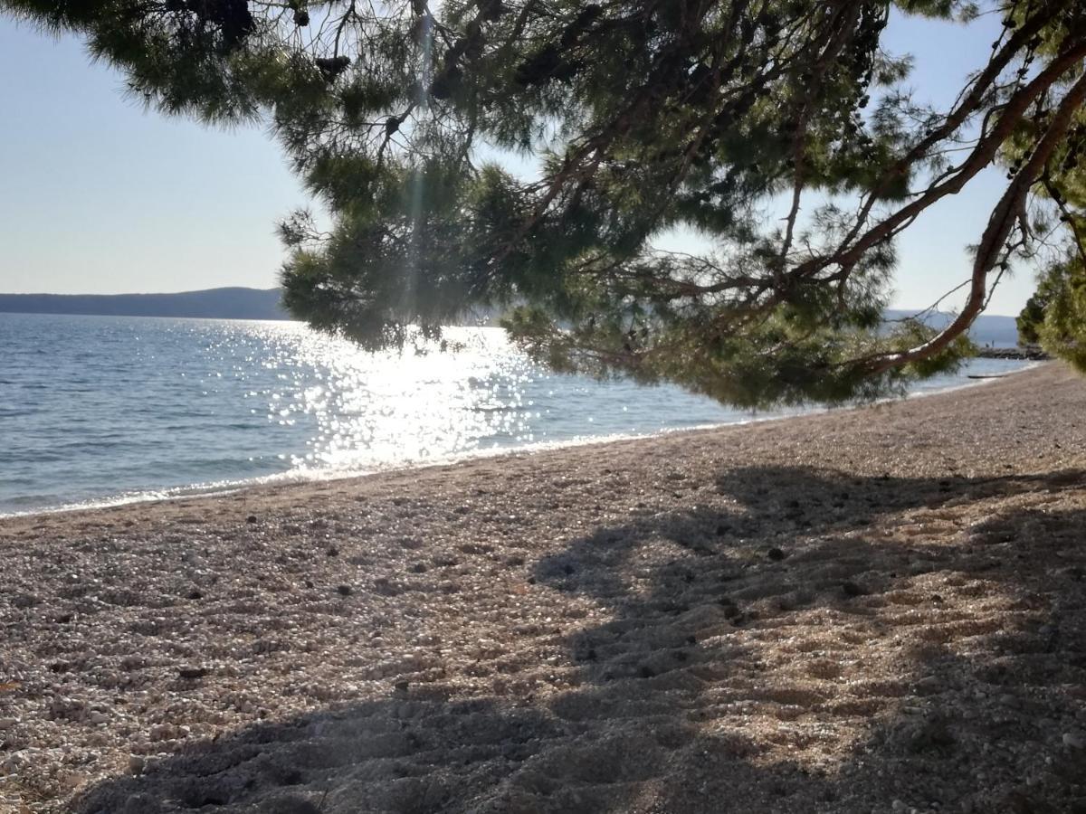 Sea Paradise بريلا المظهر الخارجي الصورة
