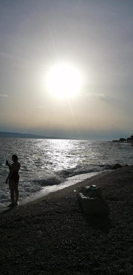 Sea Paradise بريلا المظهر الخارجي الصورة