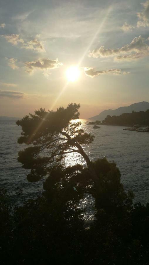 Sea Paradise بريلا المظهر الخارجي الصورة